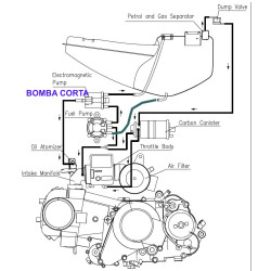 Filtro Gasolina (Dingo 125i EFI)