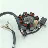 Estator Completo (VR25) SKYTEAM V-RAPTOR 250cc