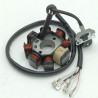 Stator Complet (VR25) SKYTEAM V-RAPTOR 250cc