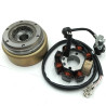 Stator & Rotor Complet (VR25) SKYTEAM V-RAPTOR 250cc