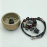 Estator & Rotor Completo (VR25) SKYTEAM V-RAPTOR 250cc