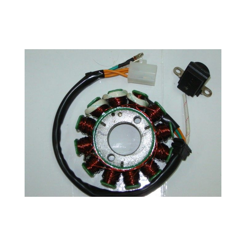 Stator Complet (Manga 125)