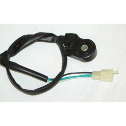 Interruptor Caballete Lateral (MG12)