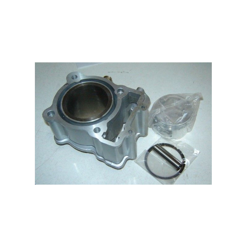 Cylinder-Piston, Kit 172MM-2 (LF250ST-2)