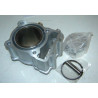 Kit Cylindre-Piston 1172MM-2 (LF250ST-2)