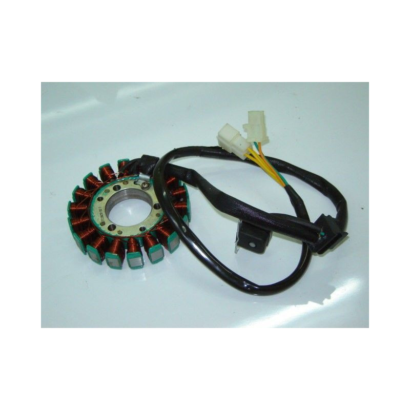 Stator Assy (172MM-2)