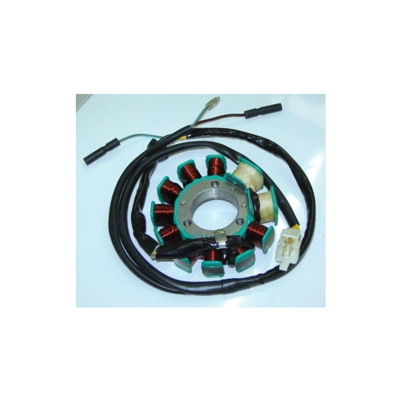 Stator Assy (CBT125)
