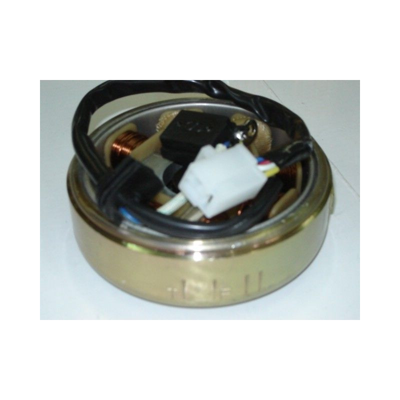 Stator and Rotor complete (LF50QT-26)
