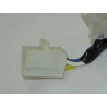 Estator Completo (S-Ray50-4t)