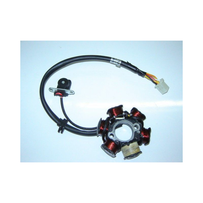 Estator Completo (DG125)