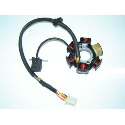 Estator Completo (DG125)