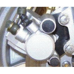 Pinza Freno Del. Der. (S-Ray125)