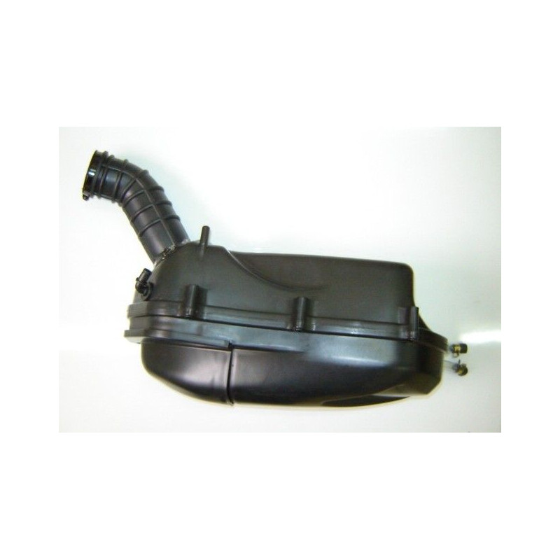Air Cleaner Assy (LF125T-19)