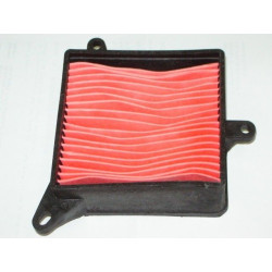 Elemento Filtro Aire (CRS125)