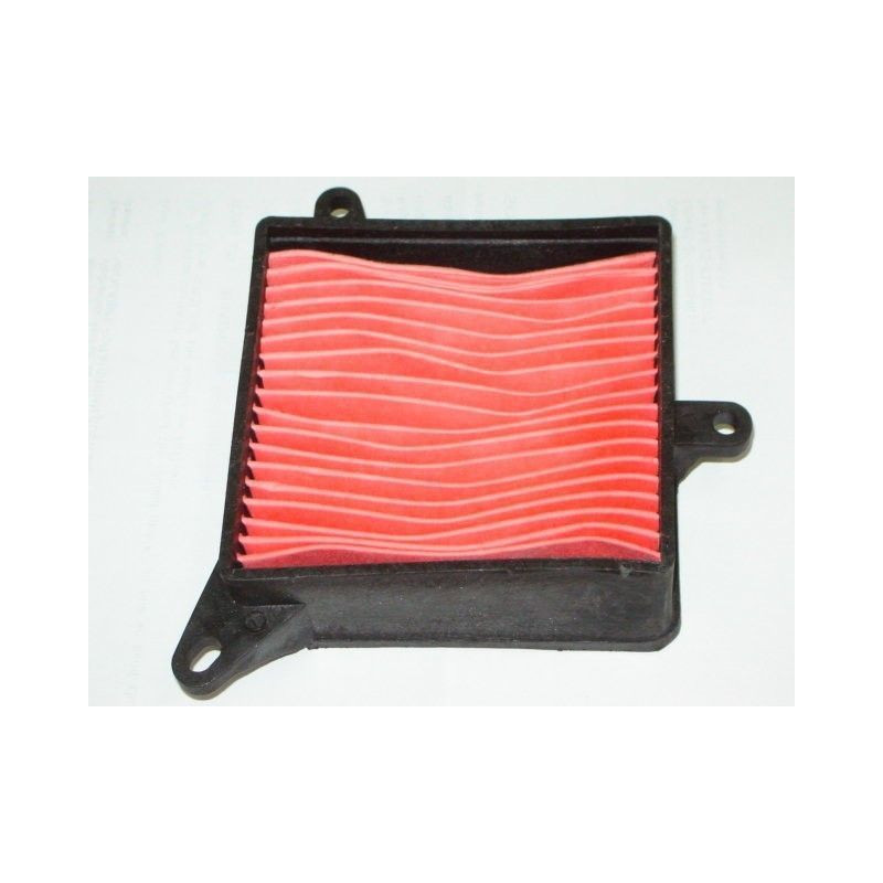 Elemento Filtro Aire (CRS125)