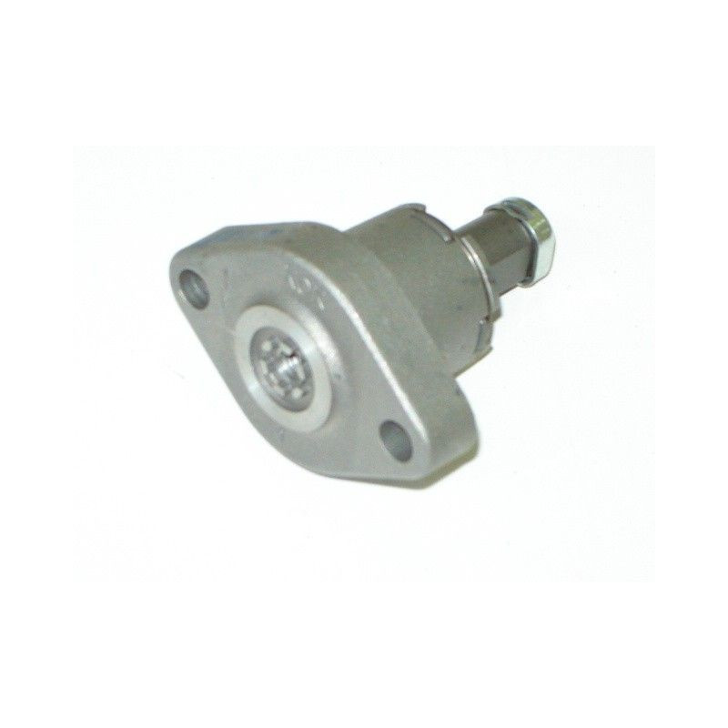 Camshaft Chain Tensioner (152QMI)