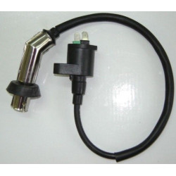 Bobine Allumage (LN 125)