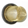 Rejilla Filtro de Aceite motor (MH/KR/VR 125-250) Skyteam V-Raptor