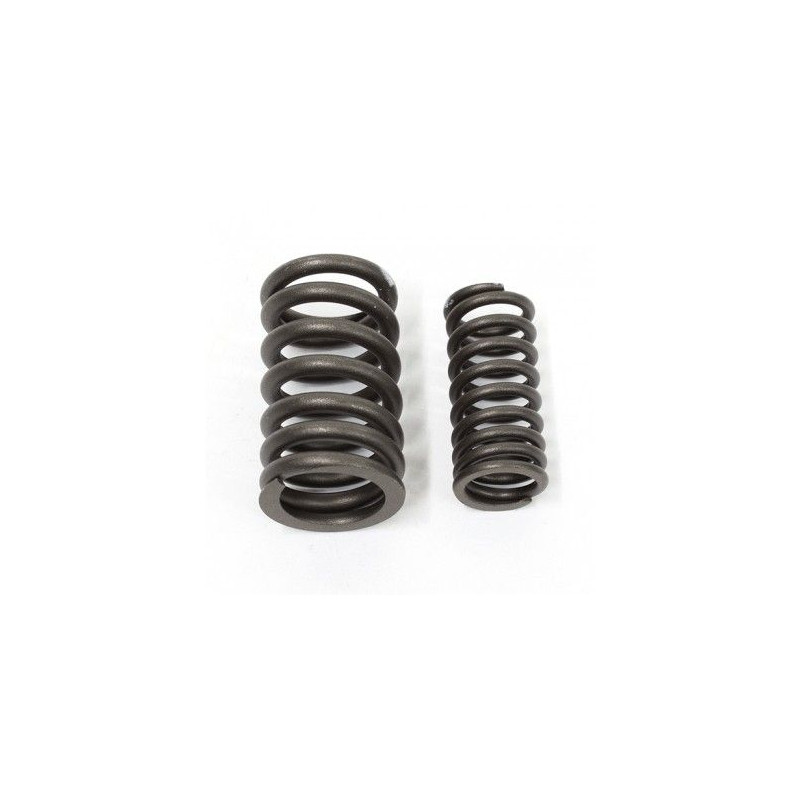 Valve Spring set (MH125 - CG125-156-FMI)