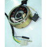 Estator & Rotor Completo (SAIGA SG125-150)