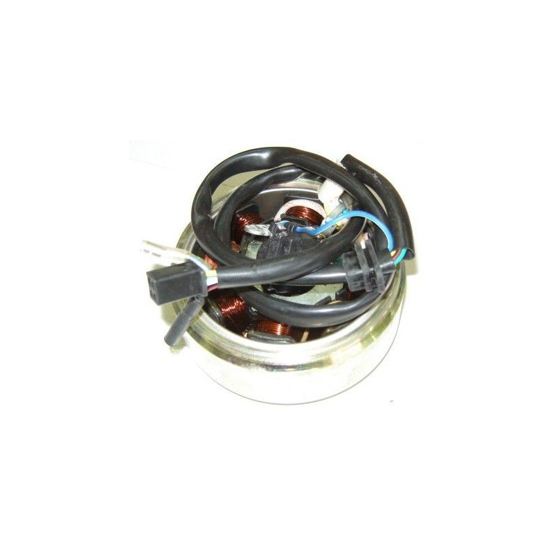 Estator & Rotor Completo (XINGYUE125)