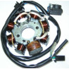 Estator & Rotor Completo (XINGYUE125)