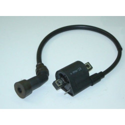 Bobine Allumage (LF125T-19)