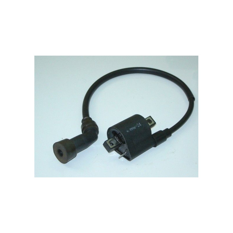 Bobine Allumage (LF125T-19)