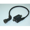Bobine Allumage (LF125T-19)
