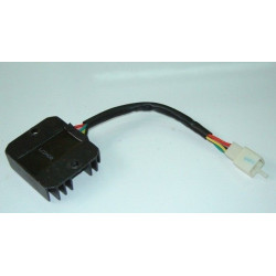 Regulador/Rectificador (DTN12)