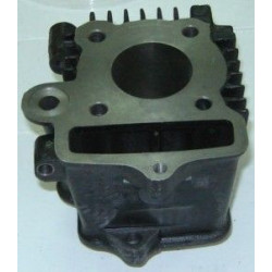 Cylindre Moteur 139FMA 50cc (Dingo 50)