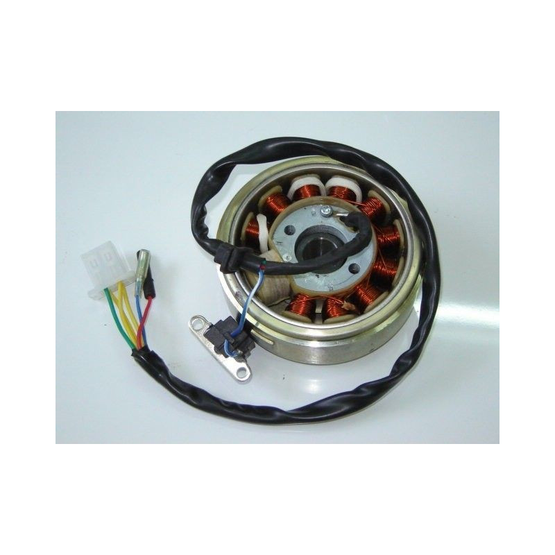 Stator & Rotor Assy (YY125T-39)