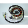 Stator & Rotor Assy (YY125T-39)