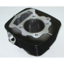 Cylinder VR250 (Loncin LX166FMM)