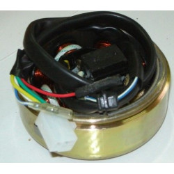 Stator & Rotor Complet (MAXY MS125)