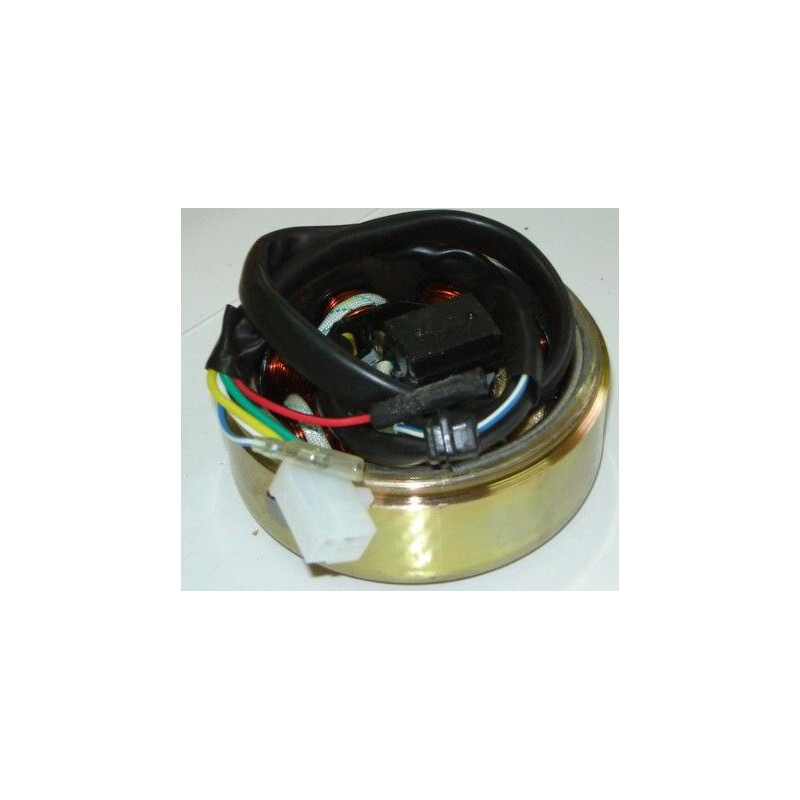 Stator & Rotor Complet (MAXY MS125)