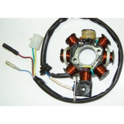 Estator & Rotor Completo (MAXY MS125)