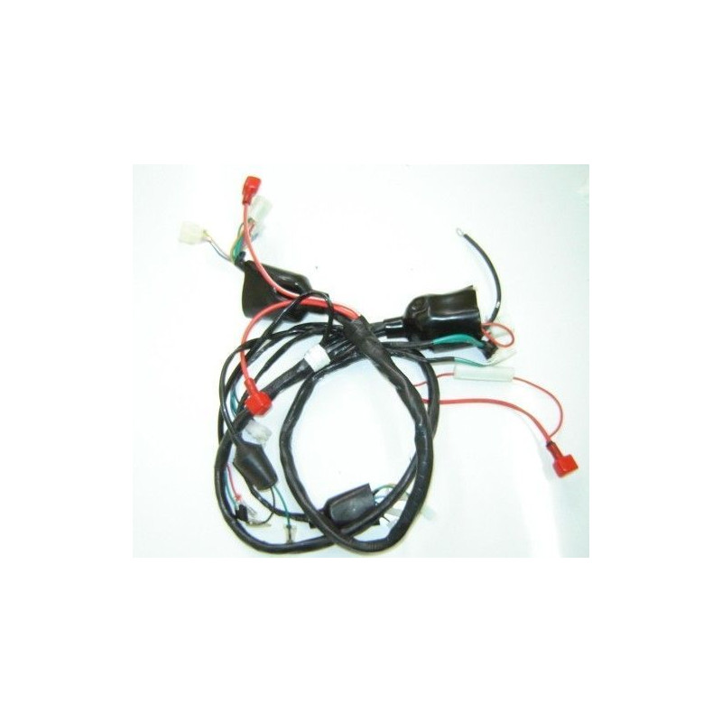 Main Harness Lifan S-Ray 50- 4t (LF50QT-26)