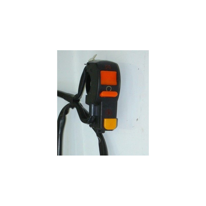 Piña Interruptores Der. (LF125GY-6)
