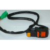 Piña Interruptores Der. (LF125GY-6)