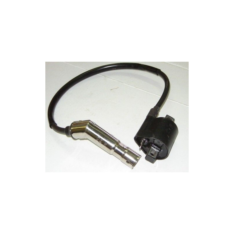 Bobine Allumage (LN125-08)