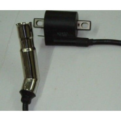 Bobine Allumage (LN125-08)