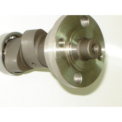 Camshaft Assy 166FMM (V-Raptor 250)