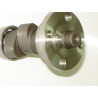 Camshaft Assy 166FMM (V-Raptor 250)