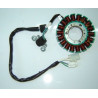 Estator Completo (MT125)