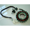 Stator Complet (MT125)