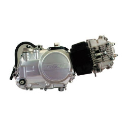 Pit Bike  Engine 1P52FMI-2B10 (120cc) (Lifan)