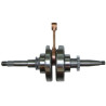 Vilebrequin Moteur  139QMB (LN50)