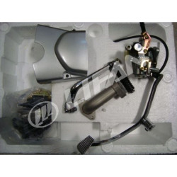 Motor LIFAN 1P39FMB-C (50cc)