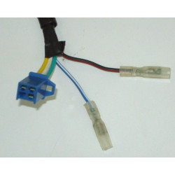 Estator & Rotor Completo (XINGYUE125)